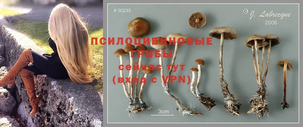тгк Богданович