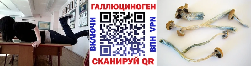 Псилоцибиновые грибы прущие грибы  Бородино 